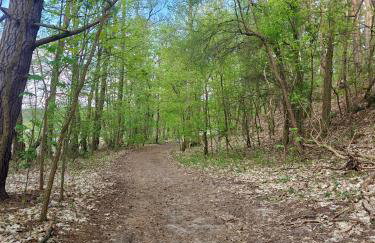 Leśna Ostoja w centrum Puszczy Nadnoteckiej otoczona 3 jeziorami - Foto 35