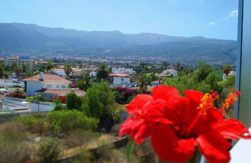 Edificio Las Marañuelas, Puerto La Cruz, Islas Canarias Tenerife - Foto 11