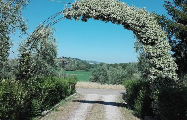 Agriturismo Il Punto Verde - Foto 32