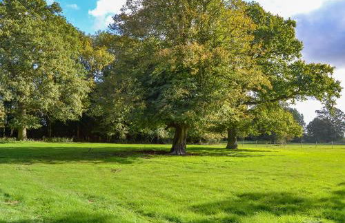 Park View - Ukc4925 - Photo 17