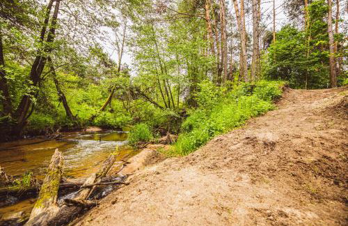 Autumn Nature Cottage Stove Garden by PolandBnB - Foto 56