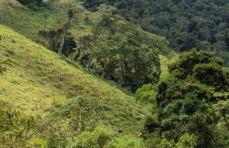 Casa da Floresta - Ibitipoca - Photo 61