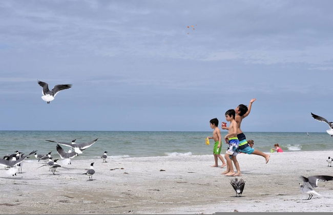 Tranquility - Waterfront Villa With Pool Dock - Photo 77