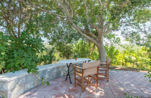 Ellie Villa - Foto 29