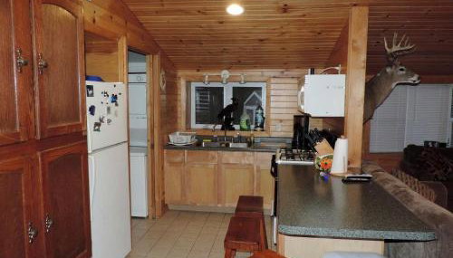 Rustic Cabin Rental Along the Wolf River in Fremont, Wisconsin - Foto 3