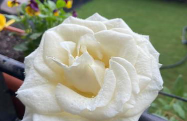 Apartamento-Estudio con jardín privado - Photo 12