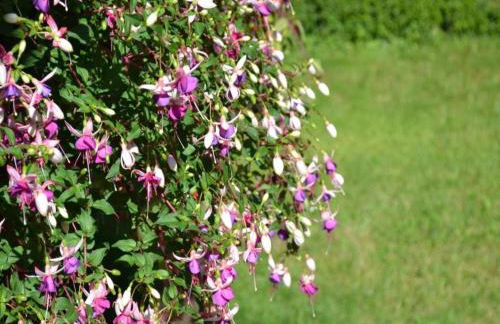 Holiday Home in Loubigne With Pool & Terrace - Foto 55