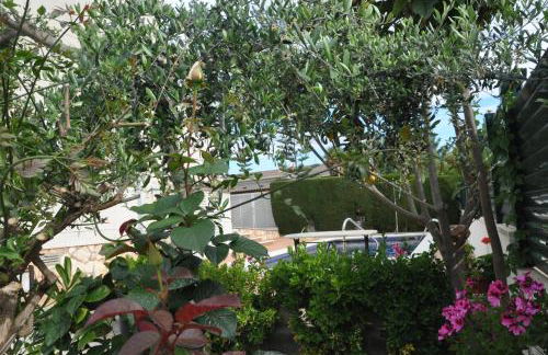 Tenis Roda de Bara - Foto 15