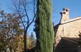 Agriturismo il Bacucco - Foto 19