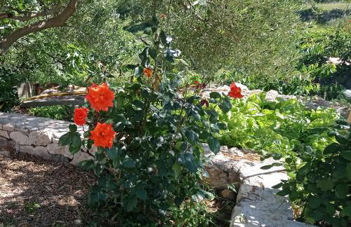 Apartman Tina 2 - Foto 11