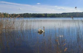 Japoński domek MITAKO - Foto 32