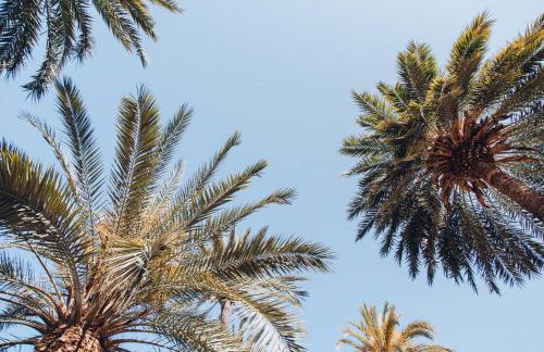 Ocho Suites & Kitchen - Foto 132