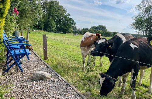 Reetdachhaus in Seenähe, Ruhige Lage, Kamin & Terrasse - Foto 33