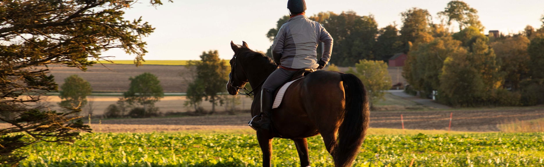 Balade à cheval à Randa