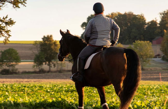 Horse Riding in Guarda Suburbs - Foto 1