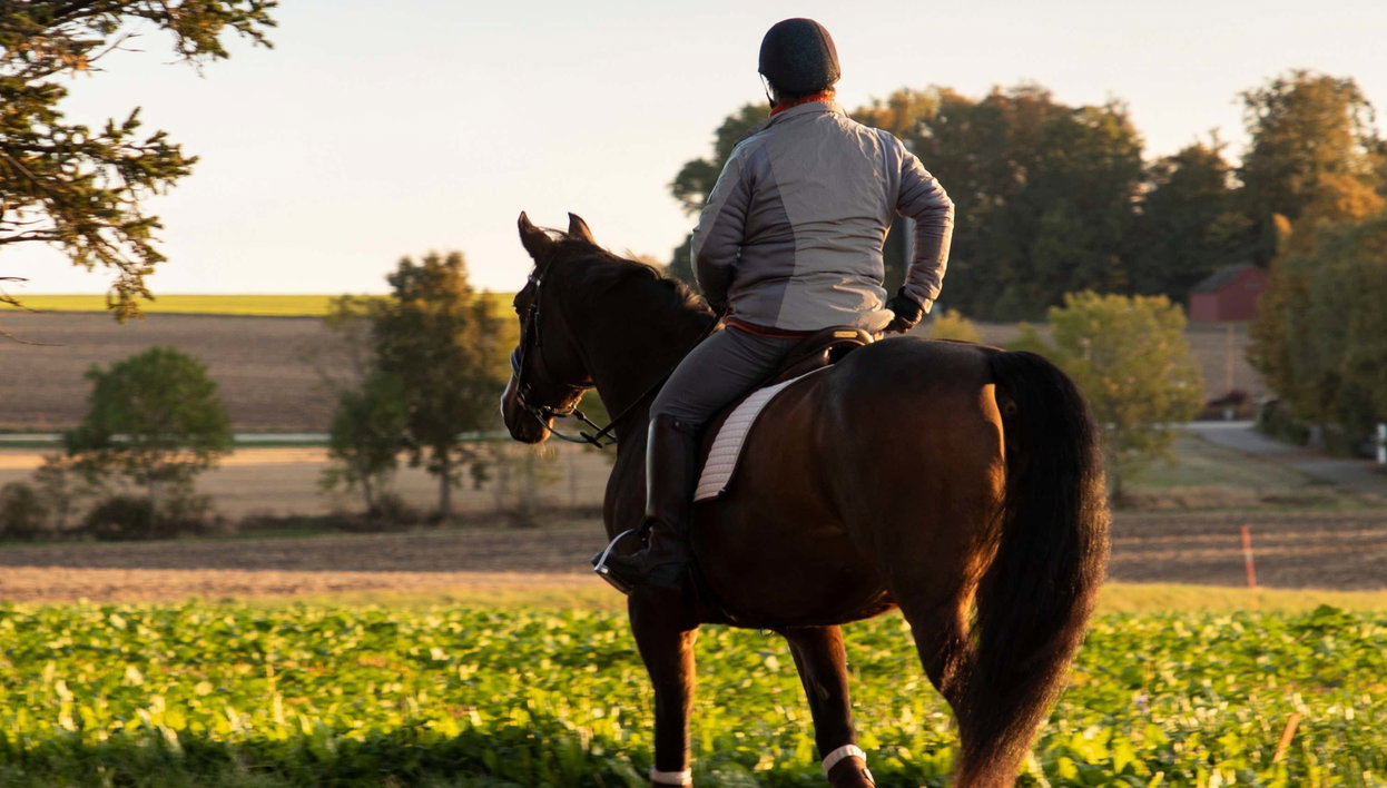 Horseback Riding in Randa, Mallorca - Foto 1