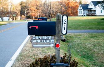 O'Brien's Sanctuary - Foto 8