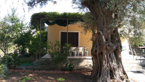 Lefkas house with garden - Foto 2, Garden