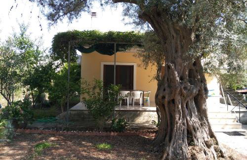 Lefkas house with garden - Foto 2