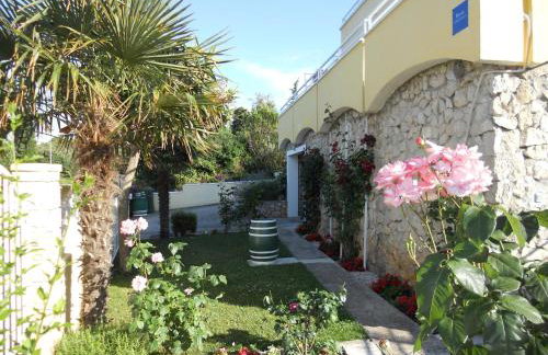 Apartments Gržanov - Photo 24