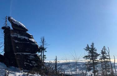Große Ferienwohnung Hundertwasser am Dreisessel in Altreichenau - Foto 50