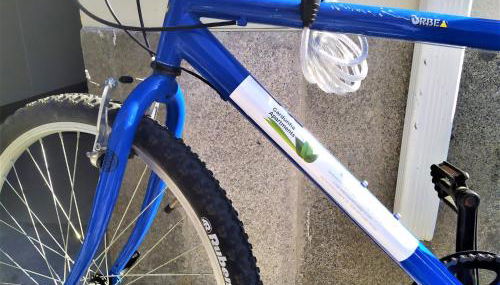 Gardunha Apartments Avenida I - Foto 5