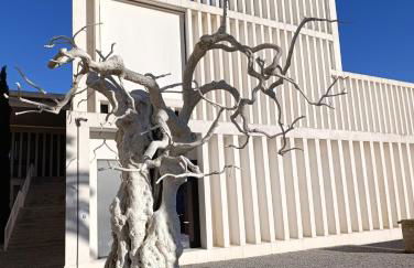 Destino Deluxe Helga Cáceres - Foto 27