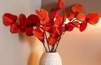 Sol do Makia Experience, Vista Piscina a Poucos Metros da Praia de Muro Alto - Photo 26