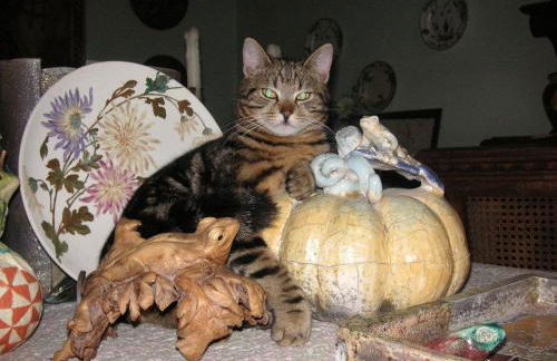 La Traversina - Agriturismo di Charme - Foto 117