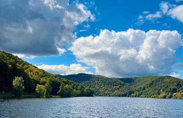 Haus Eifelglück am Stausee Obermaubach - Foto 27