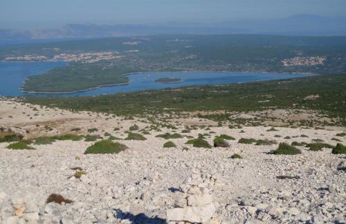 Apartments Monika & Breakfast Baskets 236 - Foto 29