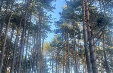 Mi Casita de Gredos - Foto 45