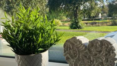 Tweed Green Holiday let - Foto 2