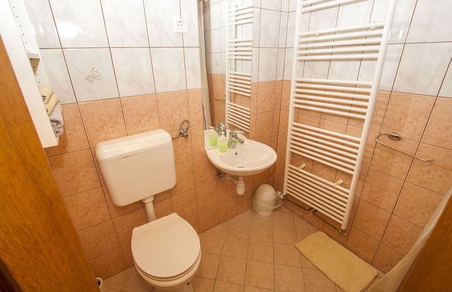 Tourist Farm Pri Martinovih - Foto 41