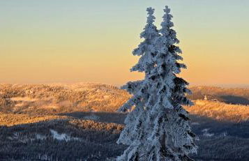 Apartment am Nationalpark Bayerwald - Foto 49
