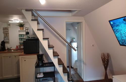 Ferienhaus Elbliebe - kleine Hunde bis 25 cm willkommen - Foto 4