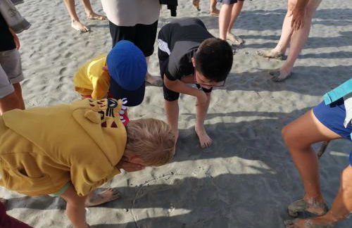 Maison de vacances 3 chambres à 400 m de la plage Kairon - Saint Pair sur mer - Foto 46