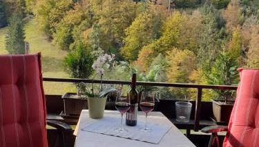 Ferienwohnung Tonbachtal - Foto 2