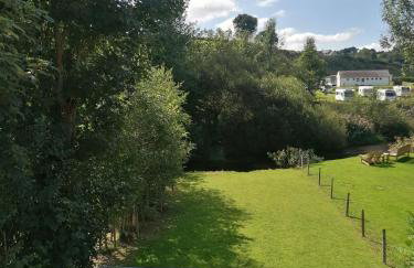 Cottage by the river in Cenarth with seasonal fishing and Wifi - Foto 3