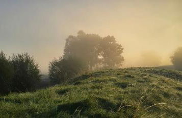 Oase am Deich - Photo 17