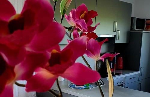 Ferienhaus Siebrands - Foto 6