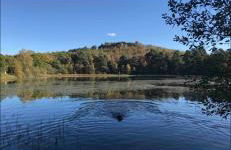 The Parcel Shed Gilling East - Photo 17
