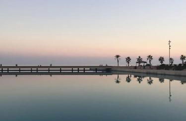 El Toyo Cactus - Foto 29