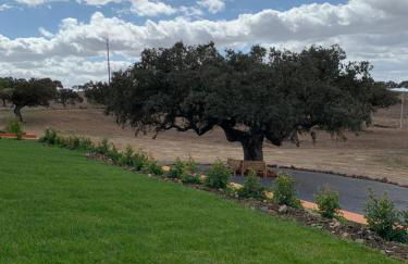 Herdade Monte Gordo - Foto 23