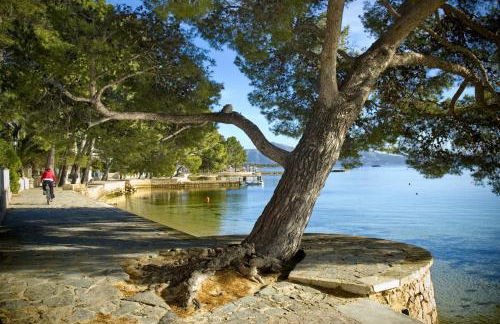 Apartamento Oratge 1 - Foto 13