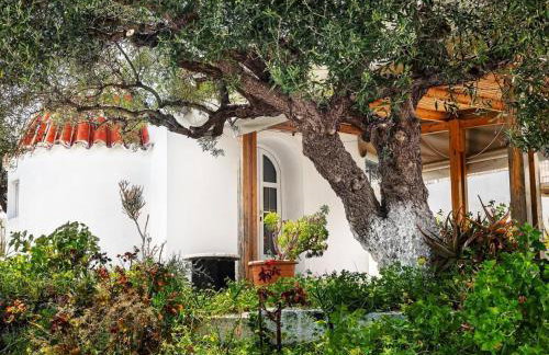 Calma Home - Foto 22