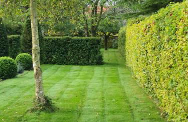 Cliff House Holiday Cottages - Foto 13