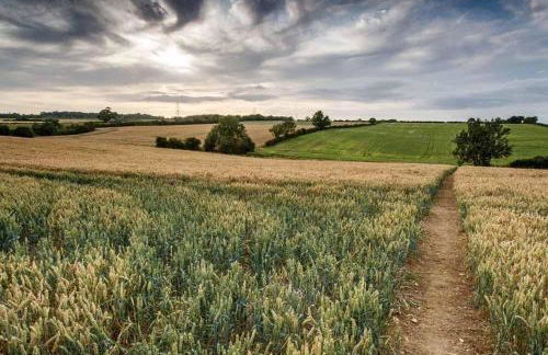 Greystones Lodge - Foto 37