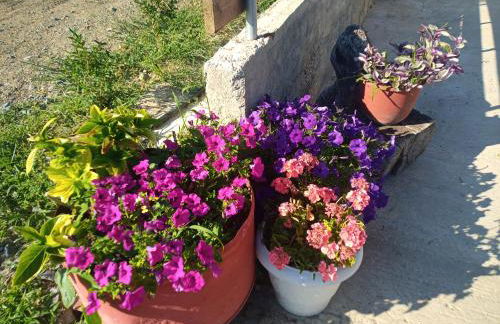 MELENIOS HOUSES - Foto 37