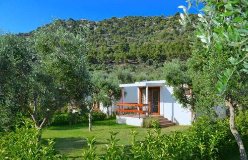 Agriturismo Antichi Ulivi - Foto 53